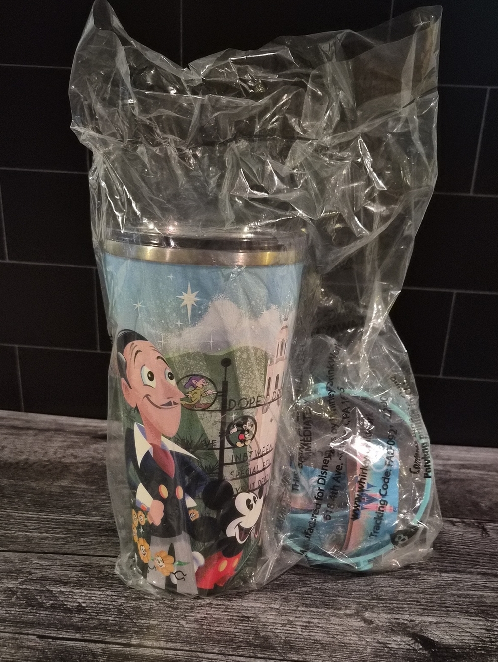 Disney100 Joey Chou Stainless Steel Tumbler